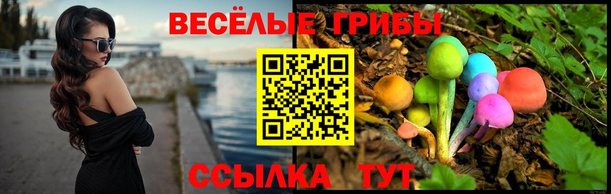Галлюциногенные грибы Psilocybe Крымск
